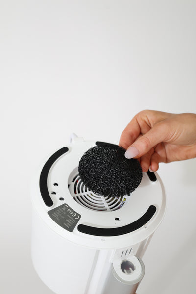 Mist Aura Filter Kit